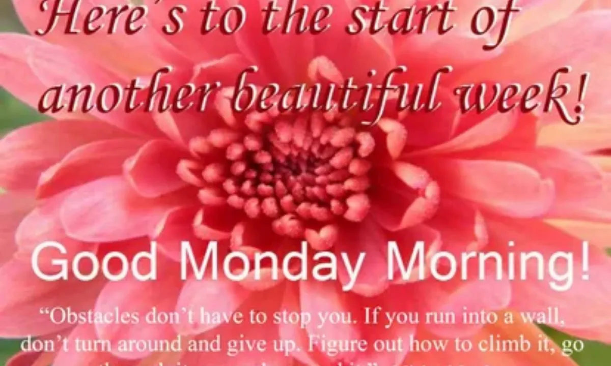 60+ Good Morning Monday Blessings To Start Your Week Right