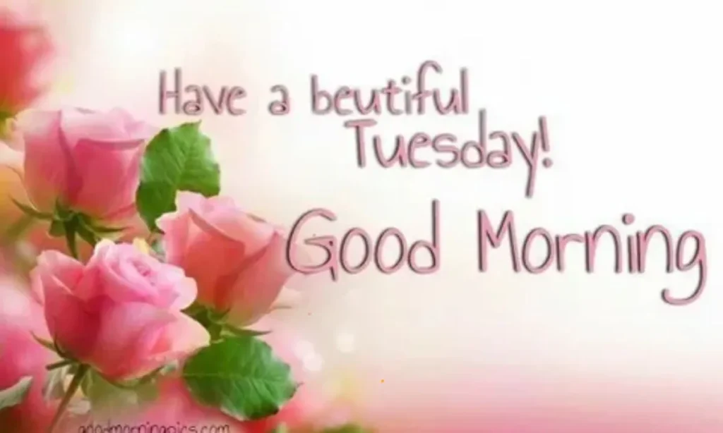 Good Morning Tuesday Wishes