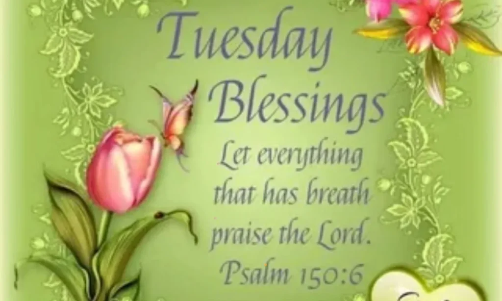 Overflowing Abundance Tuesday Blessings