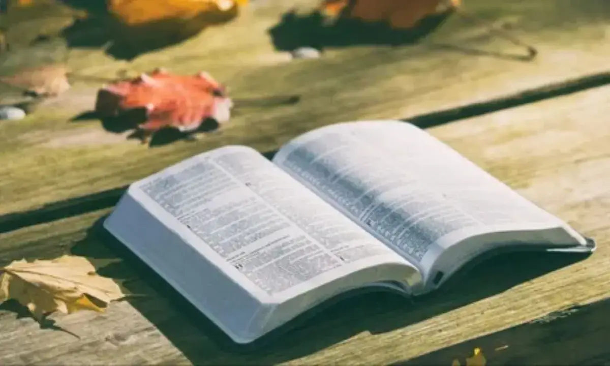 16 Best Study Bibles: These Will Make You a Bible Nerd! (And That’s Okay)